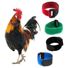 Nylon Rooster Neckband